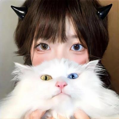 飞吧!